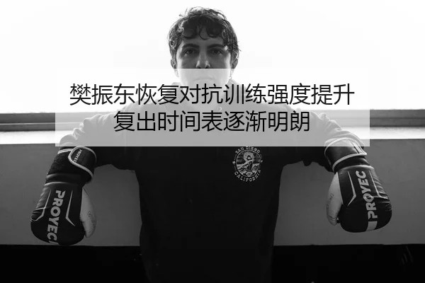 樊振东恢复对抗训练强度提升 复出时间表逐渐明朗